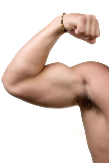 Strong and Muscled Arms