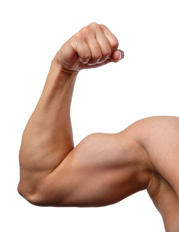 Muscular Arm
